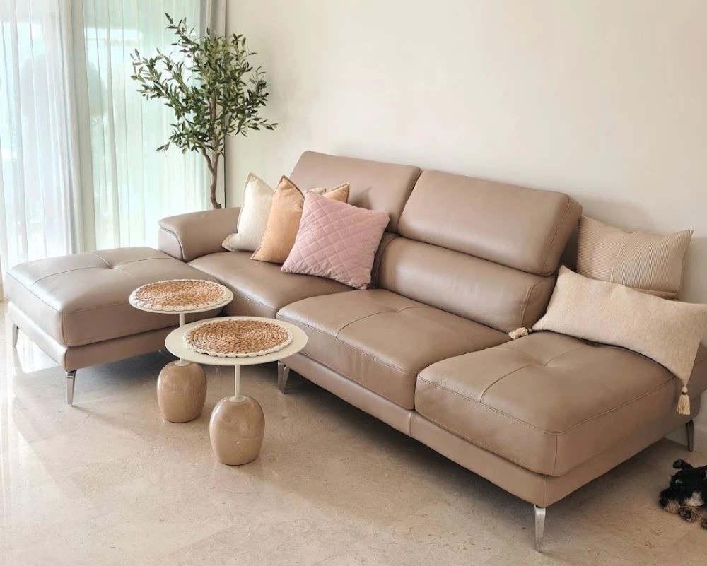 A picture of a sofa purchased by Cleo Chang from Colzani